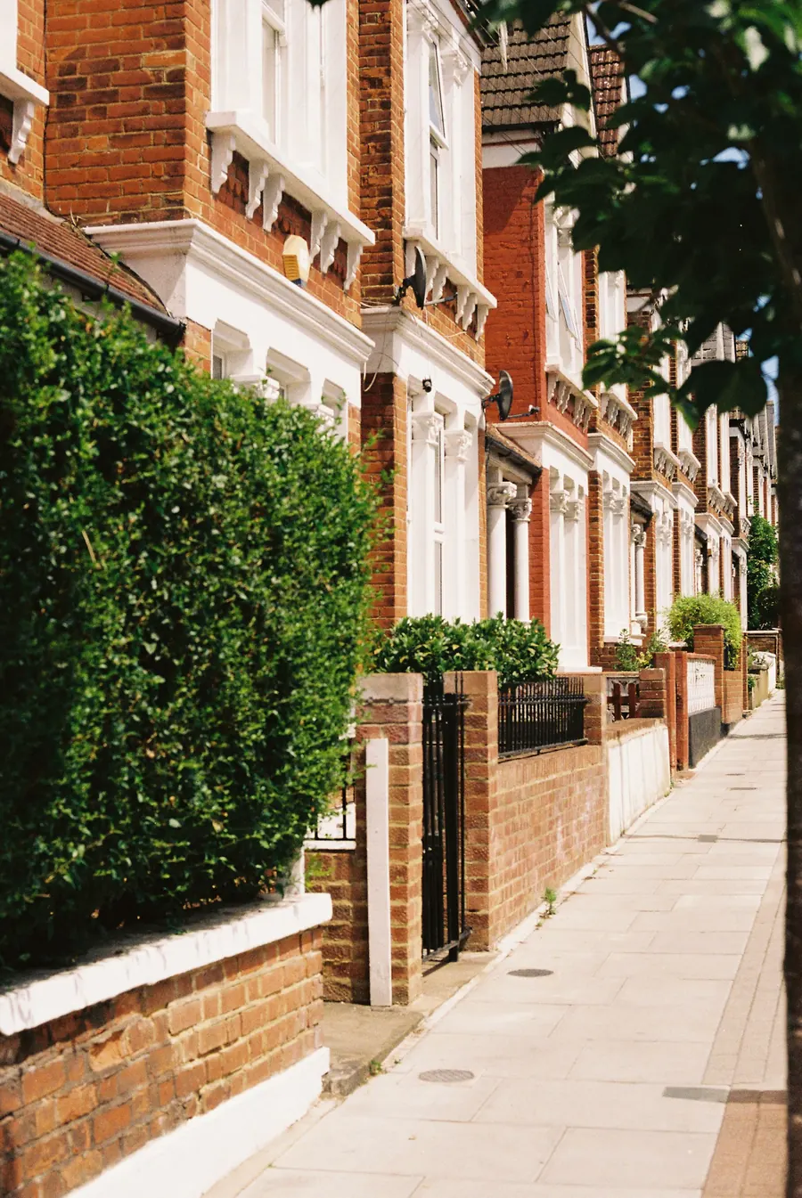 Street of brick terraced houses with hedges